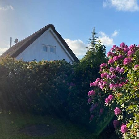 Ferienhaus Butterblume Südbrookmerland Eksteriør bilde